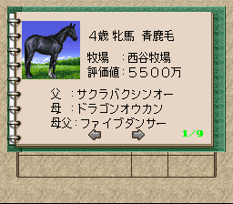 snes/winpst96a png snap