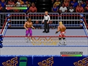snes/wwfroyalj jpg snap thumbnail