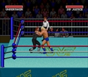 snes/wwfsup jpg snap thumbnail