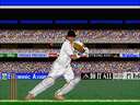 Championship Cricket (Europe)