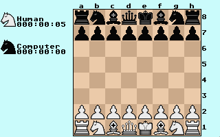 st_flop/chesssim png snap