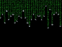 The Matrix Screen Saver