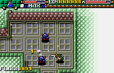 wscolor/dicing png snap