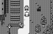 wswan/chocodnga png snap