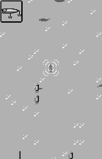 wswan/fishingf png snap