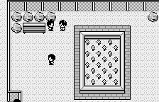 wswan/medpkabu png snap