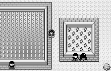 wswan/medpkuwa png snap