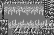 wswan/rockmanf png snap