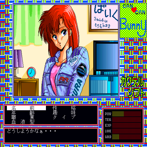 x68k_flop/cancanb png snap