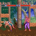 x68k_flop/knightar jpg snap thumbnail