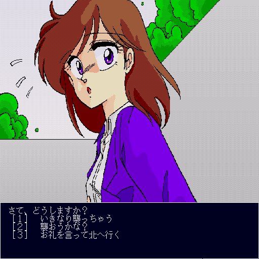 x68k_flop/lastpic2 png snap