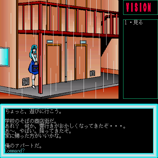 x68k_flop/vision png snap